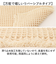 【当商品送料無料】SDS バスマット トータス2 45x60cm 通販 バス マット お風呂マット 足拭きマット 足ふきマット おふろマット