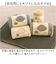 【当商品送料無料】SDS バスマット トータス2 35x50cm 通販 バス マット お風呂マット 足拭きマット 足ふきマット おふろマット