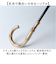【当商品送料無料】KIZAWA 日傘 折りたたみ 通販 キザワ M50DP082PO 折りたたみ傘 折りたたみ日傘 折り畳み傘 傘 かさ カサ