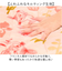 【当商品送料無料】敷きパッド シングル フランネル 通販 ベッドパッド 敷パッド ベッドパット 敷きパット ベットパッド 敷パット ベットパット