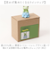 【当商品送料無料】カエル 置物 通販 蛙 かえる 置き物 おきもの 玄関 トイレ ガーデニング おしゃれ かわいい インテリア オーナメント