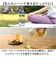 【当商品送料無料】LIPPY ウォーターボトル 1L 通販 日本製 水筒 1000ml 1リットル マグボトル 直飲み水筒 クリアボトル 軽量 軽い