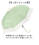 【当商品送料無料】ビニール傘 60cm レディース 通販 長傘 雨傘 ジャンプ傘 傘 ビニール 60センチ 女性 女子 高校生 中学生 通勤 通学