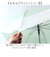 【当商品送料無料】ビニール傘 60cm レディース 通販 長傘 雨傘 ジャンプ傘 傘 ビニール 60センチ 女性 女子 高校生 中学生 通勤 通学