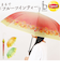 【当商品送料無料】because ビニール傘 ビコーズ B-552762 通販 長傘 ジャンプ傘 傘 雨傘 かさ カサ ビニール ジャンプ 58cm