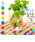 【当商品送料無料】水で膨らむ ぷよぷよボール Sサイズ 通販 ジェリーボール 水耕栽培 水でふくらむ 植物栽培用 ボール 園芸用品 おしゃれ