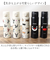 【当商品送料無料】水筒 ワンタッチ かわいい 480ml 通販 ステンレスボトル ワンプッシュボトル マグボトル ステンレス水筒 直飲み水筒