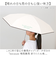 【当商品送料無料】because 折りたたみ傘 晴雨兼用 ビコーズ B-095632 通販 日傘 折りたたみ 晴雨兼用傘 折り畳み傘 折りたたみ日傘
