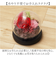 【当商品送料無料】ブリザードフラワ- 通販 フラワーギフト ガラス製 フラワーアレンジメント ガラスドーム お花 花 かわいい おしゃれ フラワー