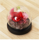 【当商品送料無料】ブリザードフラワ- 通販 フラワーギフト ガラス製 フラワーアレンジメント ガラスドーム お花 花 かわいい おしゃれ フラワー