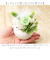 【当商品送料無料】ブリザードフラワ- 通販 フラワーアレンジメント フラワーギフト お花 花 かわいい おしゃれ 結婚祝い 新築祝い 玄関 リビング