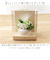 【当商品送料無料】ブリザードフラワ- 通販 フラワーアレンジメント フラワーギフト お花 花 かわいい おしゃれ 結婚祝い 新築祝い 玄関 リビング