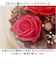 【当商品送料無料】ブリザードフラワ- 通販 ガラスドーム フラワーギフト ガラス製 お花 花 フラワーアレンジメント フラワー かわいい おしゃれ