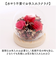 【当商品送料無料】ブリザードフラワ- 通販 ガラスドーム フラワーギフト ガラス製 お花 花 フラワーアレンジメント フラワー かわいい おしゃれ