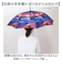 【当商品送料無料】ジャンプ傘 レディース 通販 長傘 雨傘 58.5cm ワンタッチ傘 ワンタッチ開閉 レディース傘 かさ カサ 傘 大人 女性