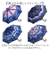 【当商品送料無料】ジャンプ傘 レディース 通販 長傘 雨傘 58.5cm ワンタッチ傘 ワンタッチ開閉 レディース傘 かさ カサ 傘 大人 女性