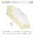 【当商品送料無料】折りたたみ傘 晴雨兼用 通販 折り畳み傘 晴雨兼用傘 晴雨兼用折りたたみ傘 晴雨兼用折り畳み傘 手動開閉 手開き 55cm 雨傘