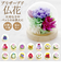 【当商品送料無料】お供え ガラスドーム 供養 仏花 通販 フラワーアレンジメント プリザーブドフラワー プリザードフラワー 供え花 献花 飾り