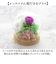 【当商品送料無料】お供え ガラスドーム 供養 仏花 通販 フラワーアレンジメント プリザーブドフラワー プリザードフラワー 供え花 献花 飾り