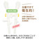 【当商品送料無料】EDISON エジソン トレーニング 箸 通販 お箸 おはし エジソンのお箸 トレーニング箸 練習用箸 子供用箸 子ども用箸