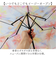 【当商品送料無料】because 折りたたみ傘 ビコーズ B-055114 通販 折り畳み傘 ビニール傘 折りたたみビニール傘 傘 雨傘 かさ カサ