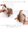 【当商品送料無料】カシュカシュ cachecache ミニトート ミニショルダー付 通販 ミニトートバッグ ミニバッグ ミニバック トート 手提げ