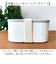 【当商品送料無料】ランチボックス お弁当箱 2段 通販 弁当箱 2段ランチボックス ニ段 電子レンジ対応 レンジ対応 食洗機対応 食洗器対応 楕円