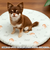 【当商品送料無料】冷感 クッション キャラクター 丸 通販 ひんやりクッション ラウンドクッション 座布団 ラウンドマット ひんやりマット ひんやり