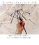 【当商品送料無料】because 傘 ビコーズ 通販 晴雨兼用傘 折りたたみ傘 カサ かさ レディース 晴雨兼用 雨傘 撥水 雨具 UVカット