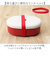 【当商品送料無料】弁当箱 1段 480ml 通販 日本製 ランチボックス 一段 お弁当箱 一段弁当箱 レディース 大人 女子 おしゃれ シンプル