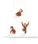 【当商品送料無料】おさるのジョージ グッズ 通販 Curious George クリアカード まじかる百貨店クリアカード 4947864052966