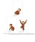 【当商品送料無料】おさるのジョージ グッズ 通販 Curious George クリアカード まじかる百貨店クリアカード 4947864052966