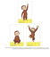 【当商品送料無料】おさるのジョージ グッズ 通販 Curious George クリアカード まじかる百貨店クリアカード 4947864052904