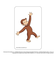 【当商品送料無料】おさるのジョージ グッズ 通販 Curious George クリアカード まじかる百貨店クリアカード 4947864052911
