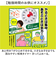 【当商品送料無料】学習タイマー 勉強 通販 MAG TM-611 知育タイマー 子供 時間 管理 タイマー アナログタイマー 勉強タイマー