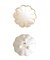 【当商品送料無料】美濃焼 小鉢 通販 日本製 小皿 美濃 焼 10cm 取り皿 副菜 取皿 和食器 おしゃれ モダン かわいい 花形 花型 お花