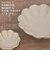 【当商品送料無料】美濃焼 小鉢 通販 日本製 小皿 美濃 焼 10cm 取り皿 副菜 取皿 和食器 おしゃれ モダン かわいい 花形 花型 お花
