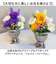 【当商品送料無料】プリザーブドフラワー 仏花 お供え 通販 プリザードフラワー仏壇 ブリザードフラワー 仏壇用 ブリザーブドフラワー