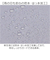 【当商品送料無料】子ども 傘 晴雨兼用 通販 Lovetoxic ラブトキシック ラブトキ 長傘 雨傘 晴雨兼用傘 晴れ雨兼用傘 日傘 遮光 かさ