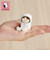 【当商品送料無料】NEKONOBA グッズ 通販 ネコノバ フィギュア 猫 ネコ マスコット ミニチュア 置物 ねこ 猫グッズ かわいい おしゃれ