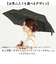 【当商品送料無料】amusant sous la pluie 折りたたみ 耐風 通販 折りたたみ傘 折り畳み傘 耐風傘 雨傘 折り畳み 55cm