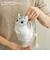 【当商品送料無料】夜は猫といっしょ グッズ 通販 キュルガ ぬいぐるみ 猫 ねこ ネコ 猫グッズ ふわふわ ミニぬいぐるみ 癒し キャラクター