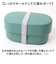 【当商品送料無料】弁当箱 2段 570ml 通販 日本製 ランチボックス 二段 お弁当箱 二段弁当箱 2段弁当箱 レディース 大人 女子 おしゃれ