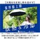 【当商品送料無料】ラディクール 日傘 Radi-Cool 通販 晴雨兼用折りたたみ傘 折りたたみ日傘 晴雨兼用傘 折りたたみ傘 折り畳み傘 完全遮光