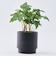 【当商品送料無料】植木鉢 プラスチック 丸型 通販 SK ステップ 12xH12 鉢 約 3.5号 鉢カバー プランター プラポット