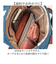 【当商品送料無料】シニア リュック レディース 通販 リュックサック おしゃれ デイパック レディースリュック シニアリュックサック