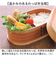 【当商品送料無料】わっぱ弁当箱 500ml 通販 曲げわっぱ弁当箱 まげわっぱ 弁当箱 1段 一段 小さめ お弁当箱 ランチボックス 曲げわっぱ