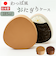 【当商品送料無料】おにぎりケース 大きめ 通販 日本製 おむすびケース おにぎり ケース 弁当箱 お弁当箱 ランチボックス 1段 一段 ハードケース