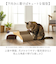 【当商品送料無料】猫爪とぎベッド 通販 猫 爪とぎ 猫用爪とぎ ダンボール ベッド ペットベッド 猫ベッド 爪研ぎ ソファ ねこ つめとぎ 猫用品