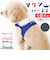 【当商品送料無料】ハーネス 小型犬 セーラー服 通販 犬用ハーネス 犬ハーネス ドッグハーネス 胴輪 犬 Marine マリン 犬用 ペット用
